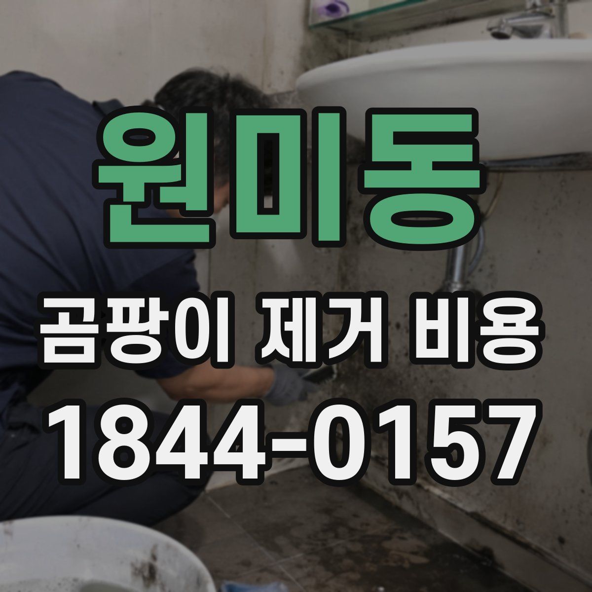 원미동 곰팡이 제거 비용
