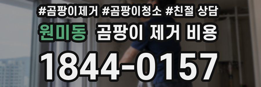 원미동 곰팡이 제거 비용