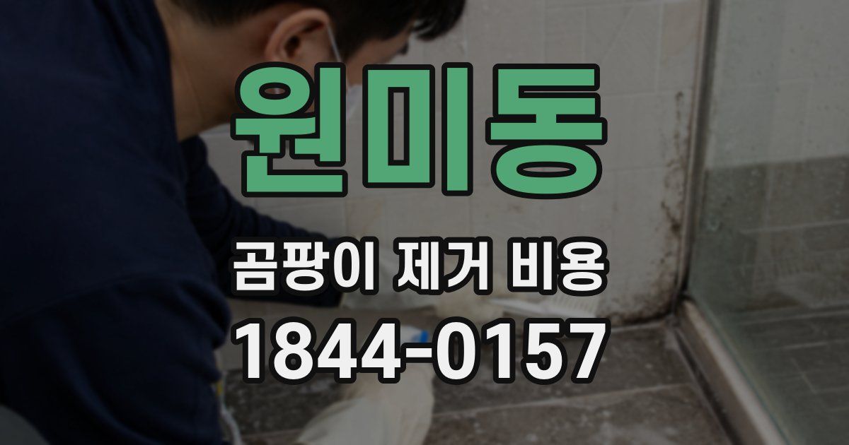 원미동 곰팡이 제거 비용