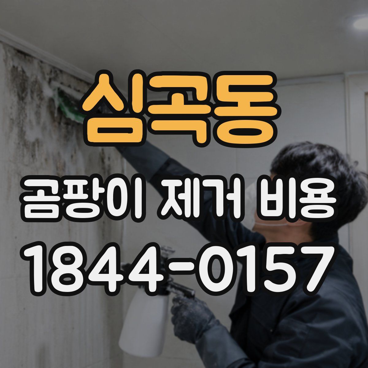 심곡동 곰팡이 제거 비용
