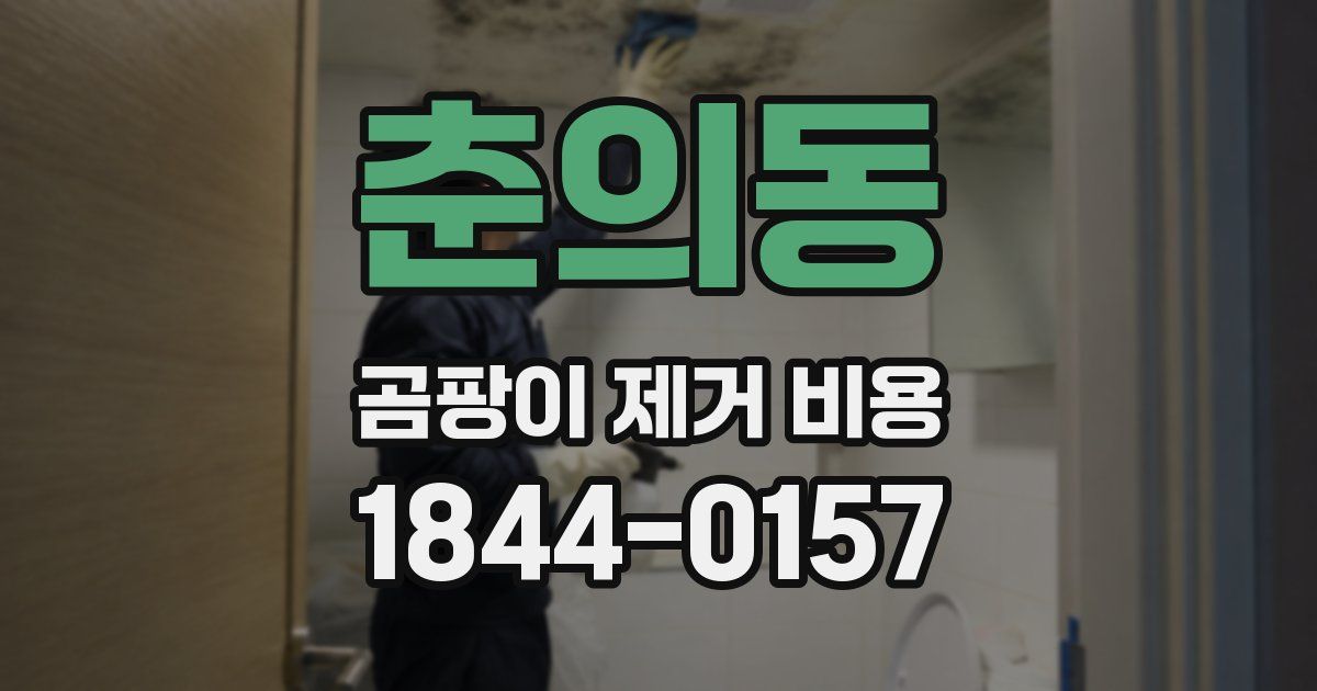 춘의동 곰팡이 제거 비용