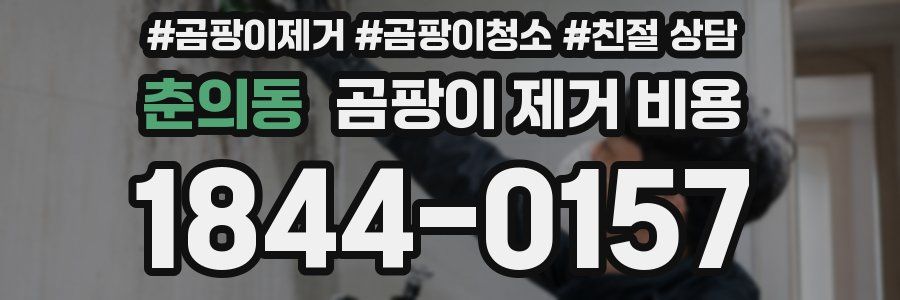 춘의동 곰팡이 제거 비용