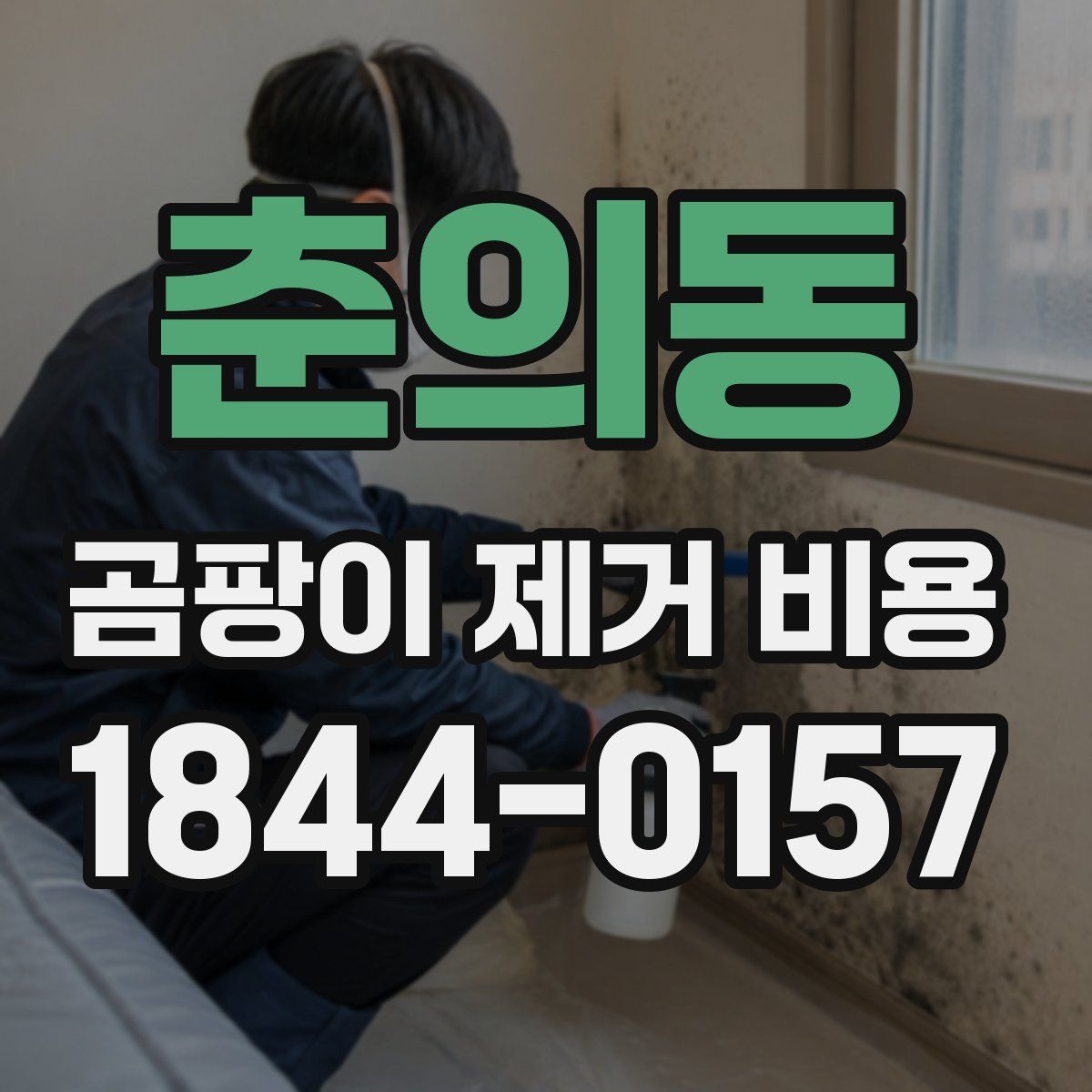 춘의동 곰팡이 제거 비용