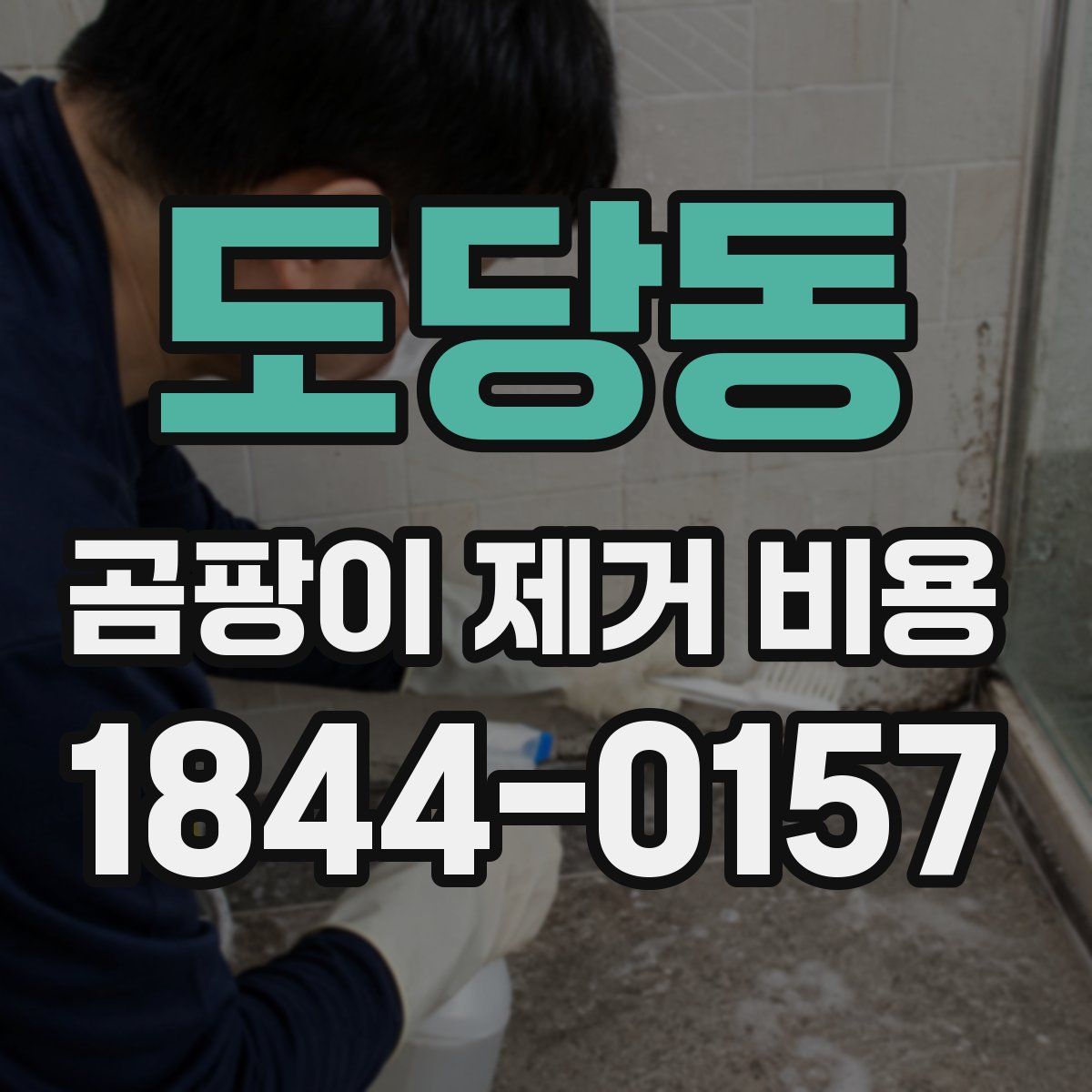도당동 곰팡이 제거 비용
