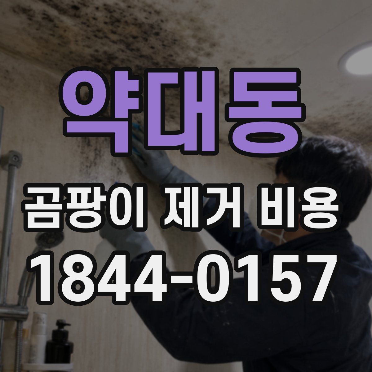 약대동 곰팡이 제거 비용 산출 시 주의해야 할 오해