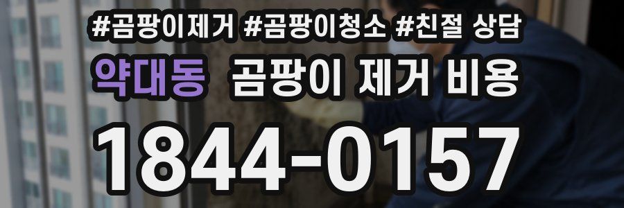 약대동 곰팡이 제거 비용