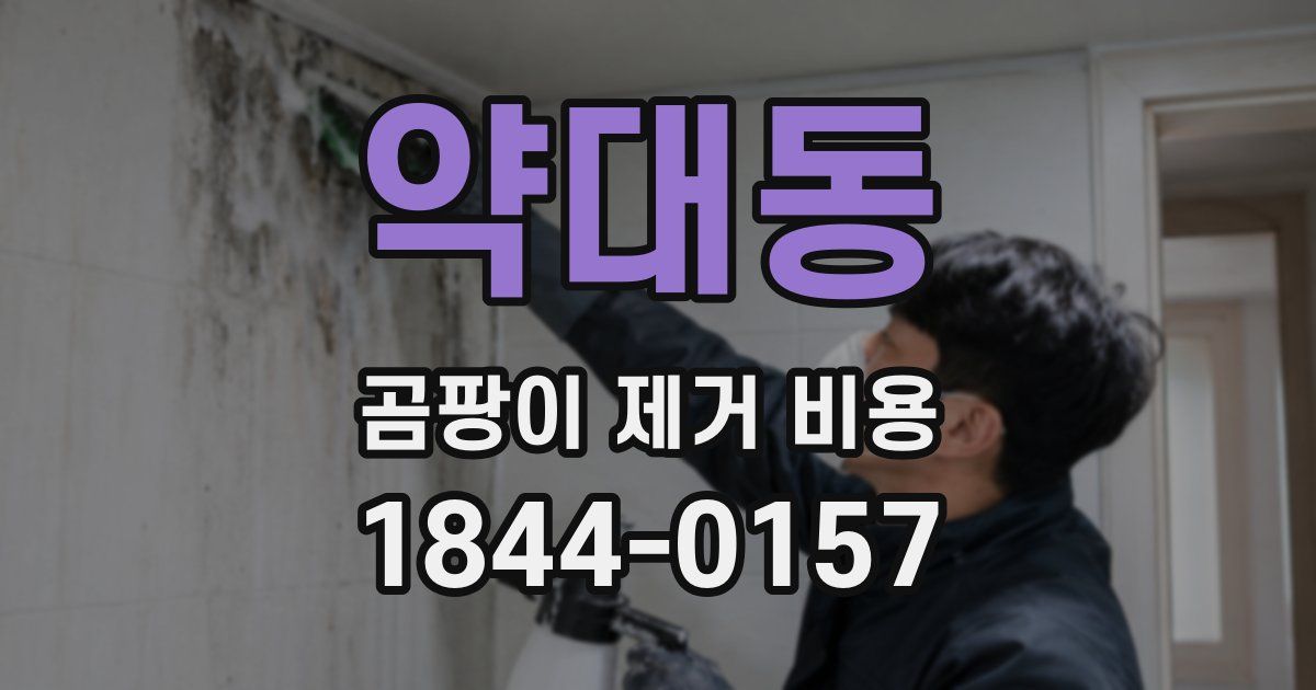 약대동 곰팡이 제거 비용