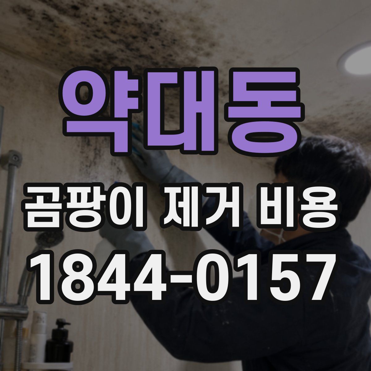 약대동 곰팡이 제거 비용