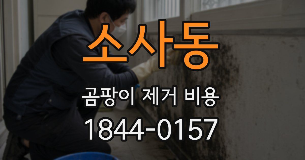 소사동 곰팡이 제거 비용