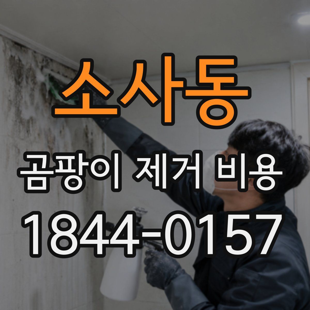 소사동 곰팡이 제거 비용