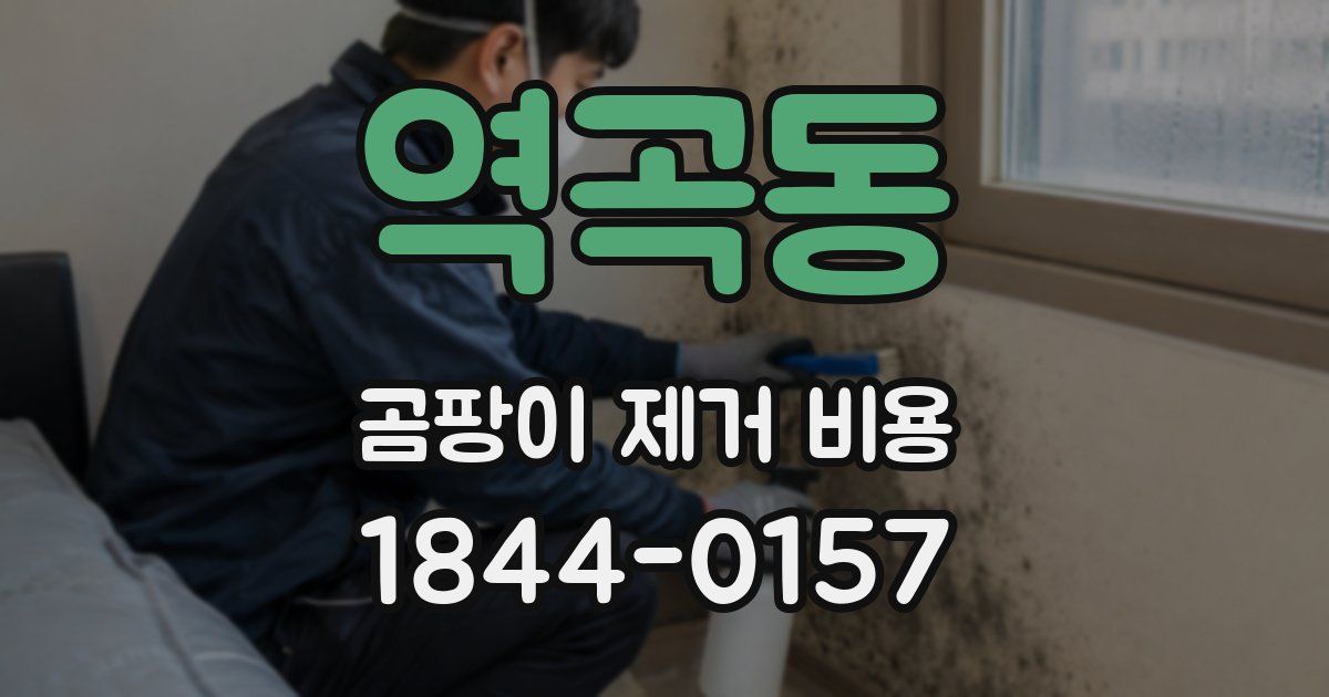 역곡동 곰팡이 제거 비용