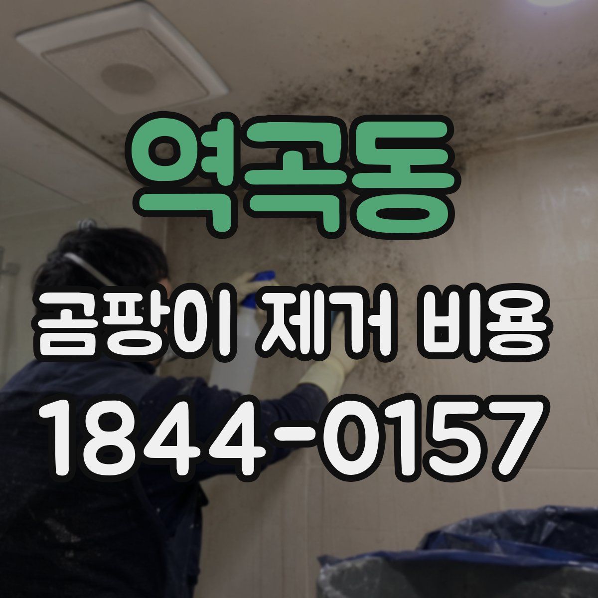 역곡동 곰팡이 제거 비용