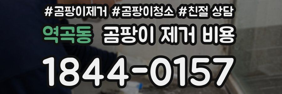 역곡동 곰팡이 제거 비용