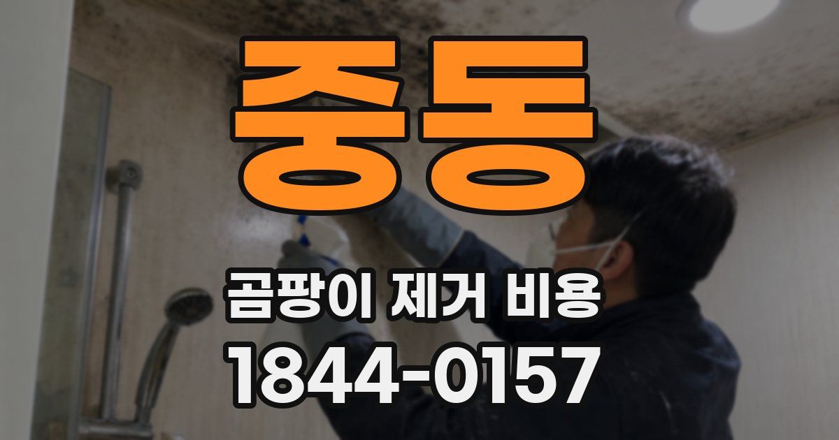 중동 곰팡이 제거 비용