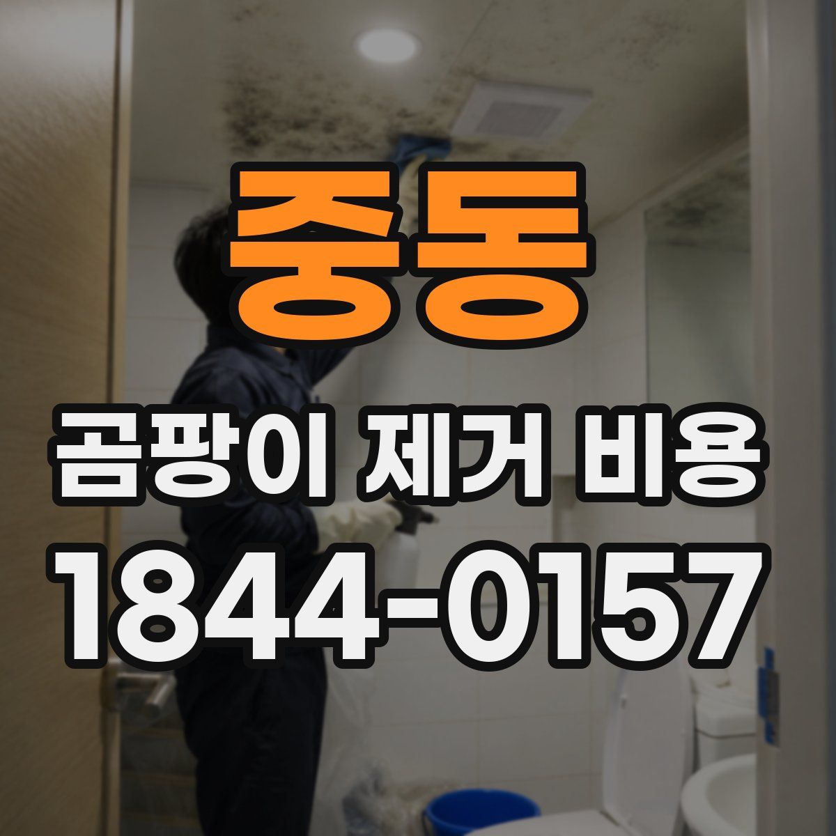 중동 곰팡이 제거 비용