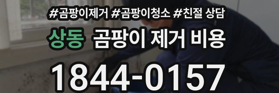상동 곰팡이 제거 비용