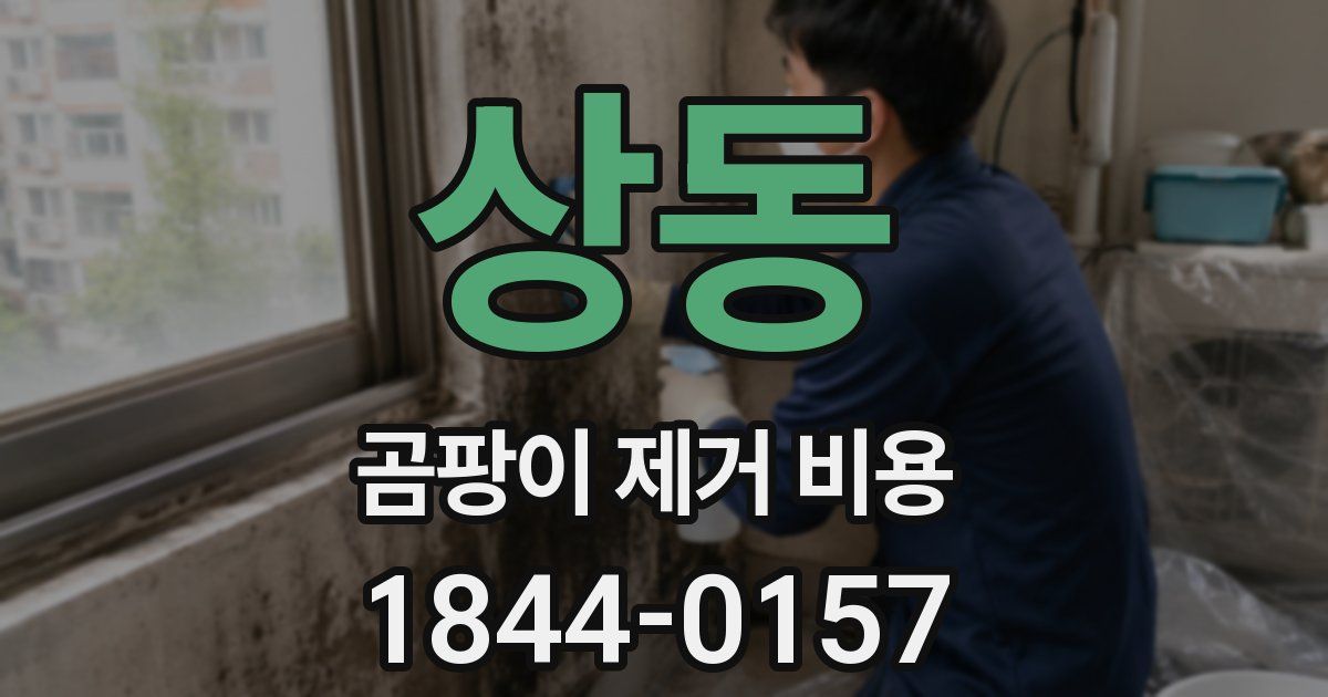 상동 곰팡이 제거 비용