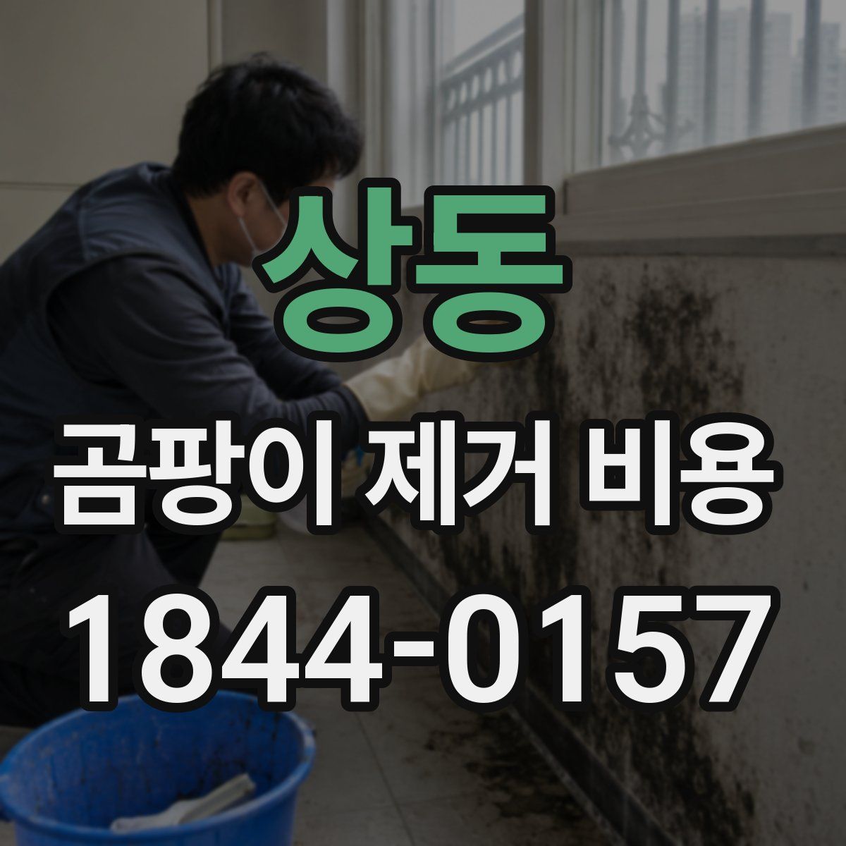 상동 곰팡이 제거 비용