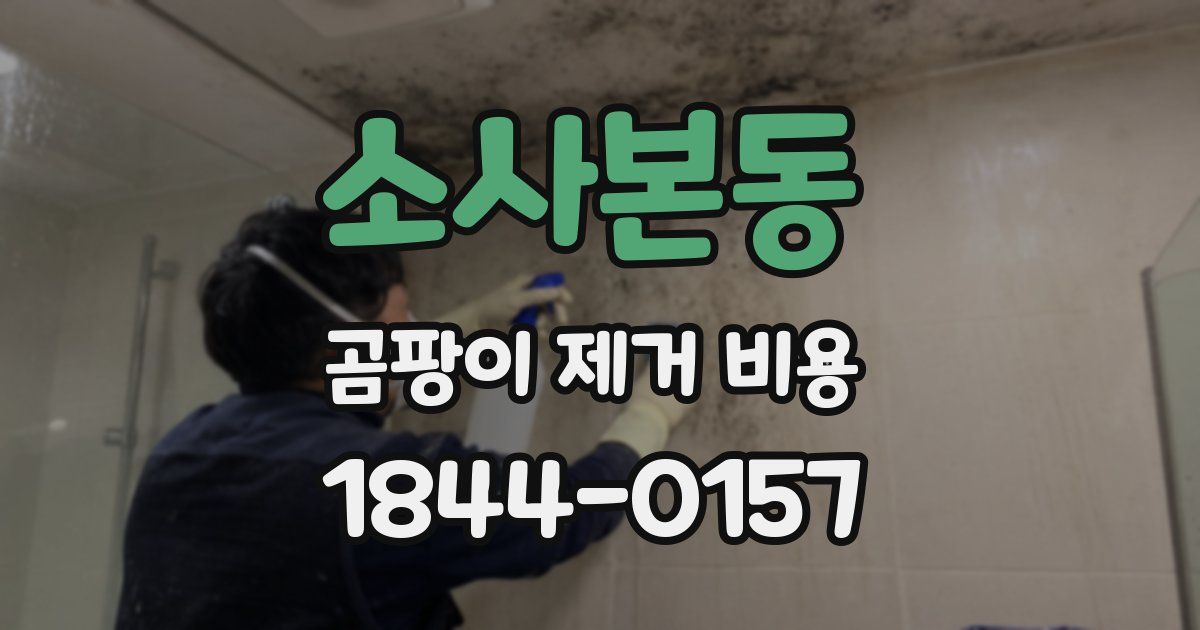 소사본동 곰팡이 제거 비용