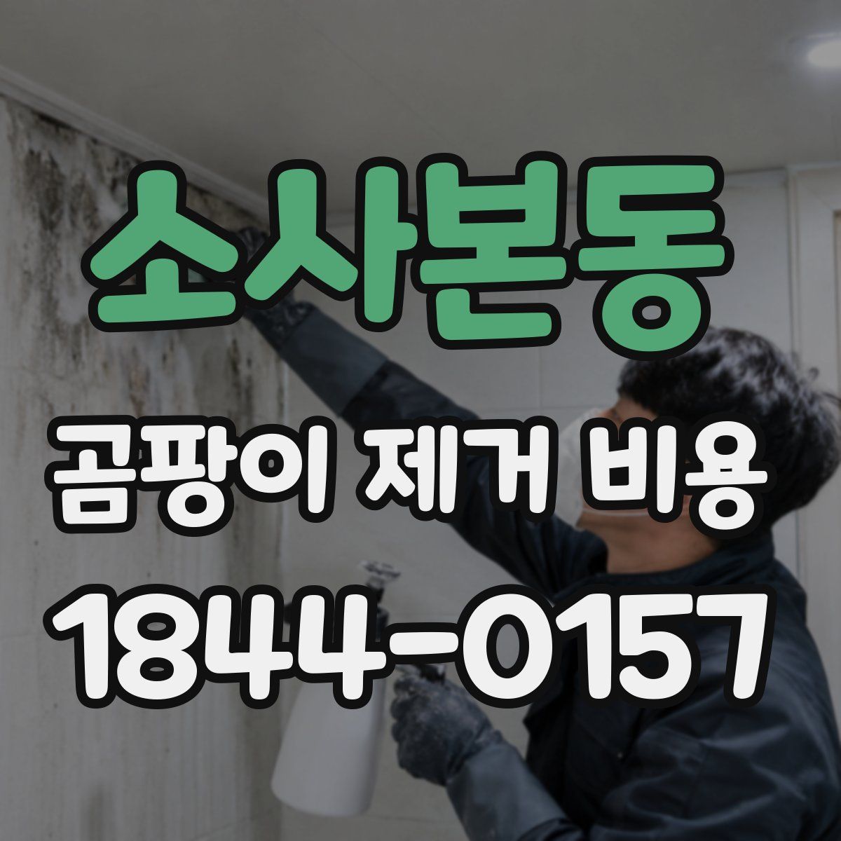 소사본동 곰팡이 제거 비용