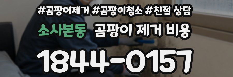 소사본동 곰팡이 제거 비용