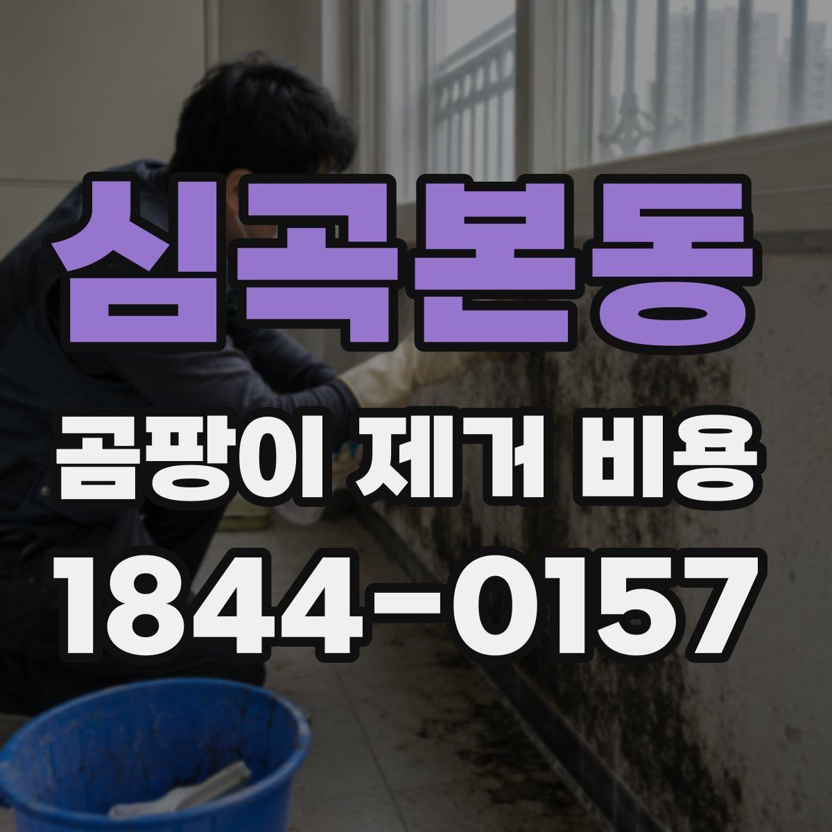 심곡본동 곰팡이 제거 비용 비교할 때 가격보다 중요한 기준