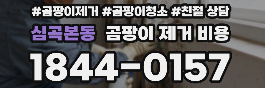 심곡본동 곰팡이 제거 비용