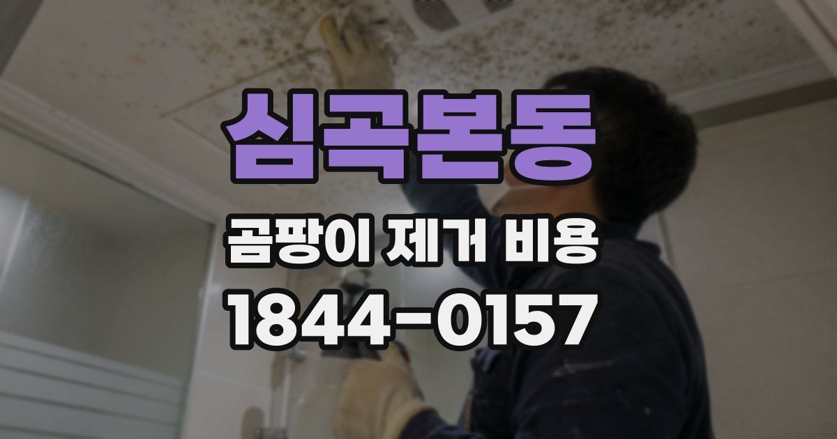 심곡본동 곰팡이 제거 비용