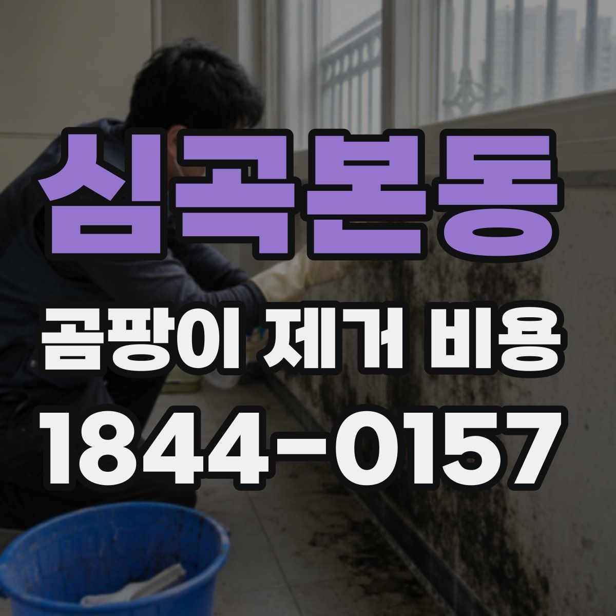 심곡본동 곰팡이 제거 비용