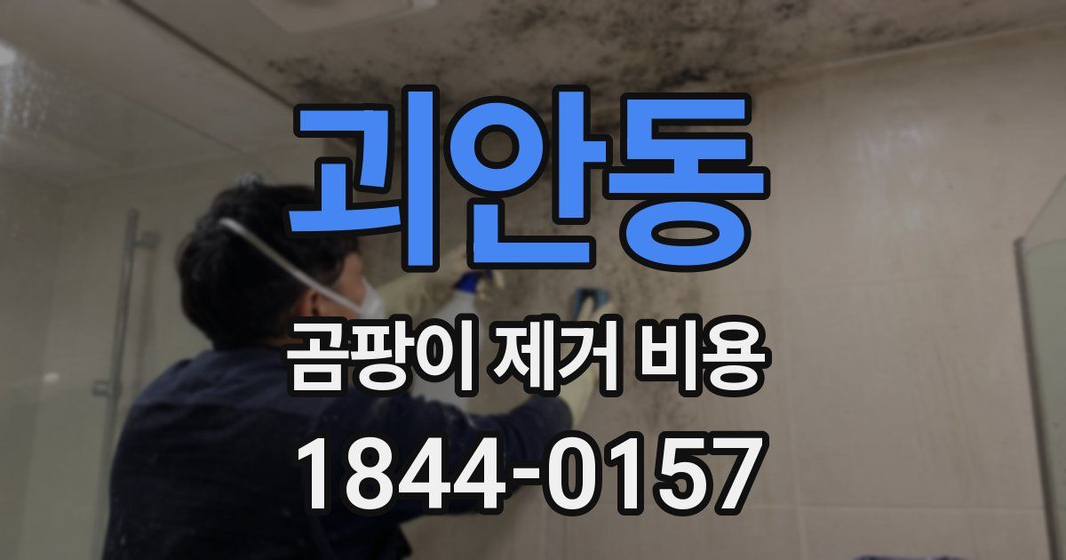 괴안동 곰팡이 제거 비용