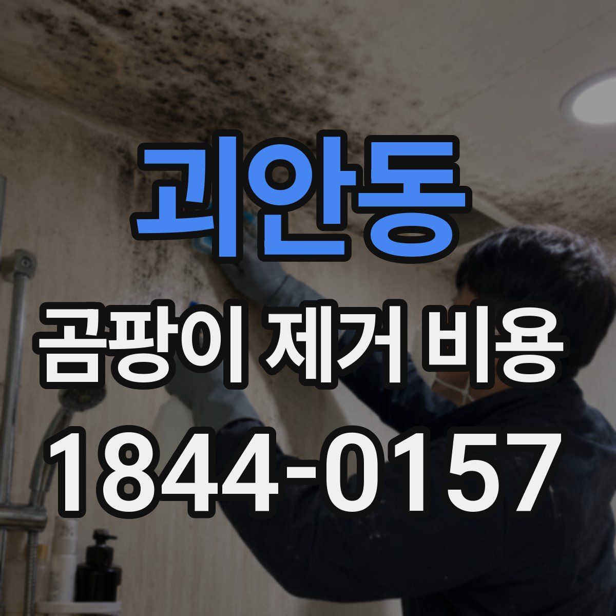 괴안동 곰팡이 제거 비용