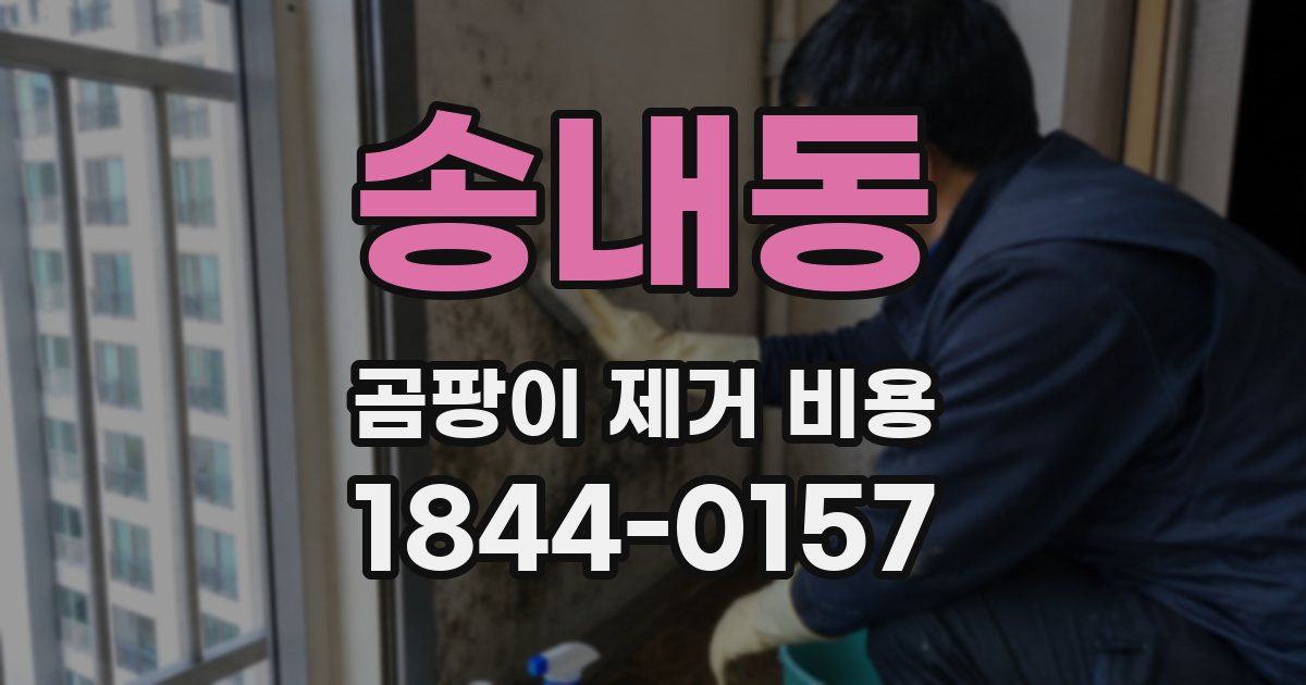 송내동 곰팡이 제거 비용