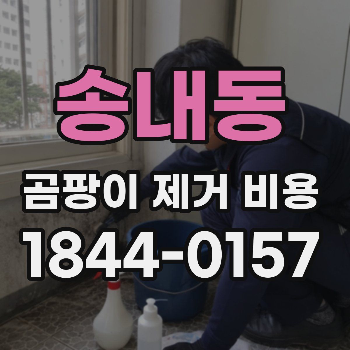 송내동 곰팡이 제거 비용