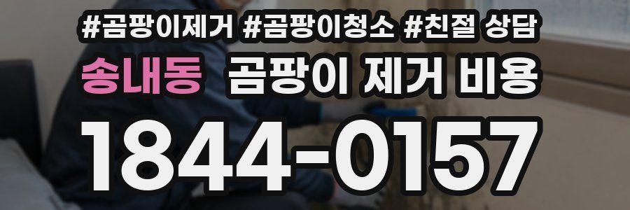 송내동 곰팡이 제거 비용