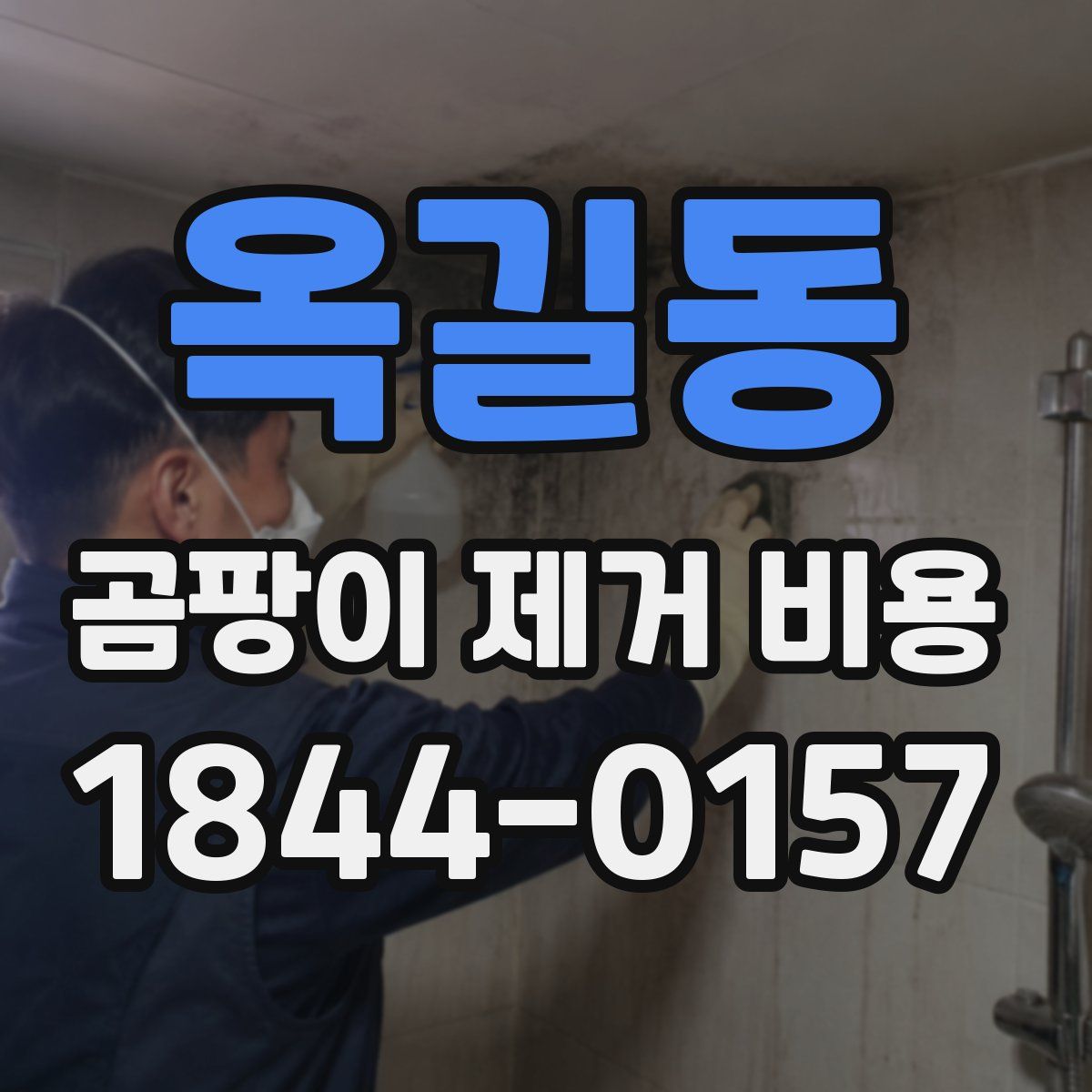 옥길동 곰팡이 제거 비용