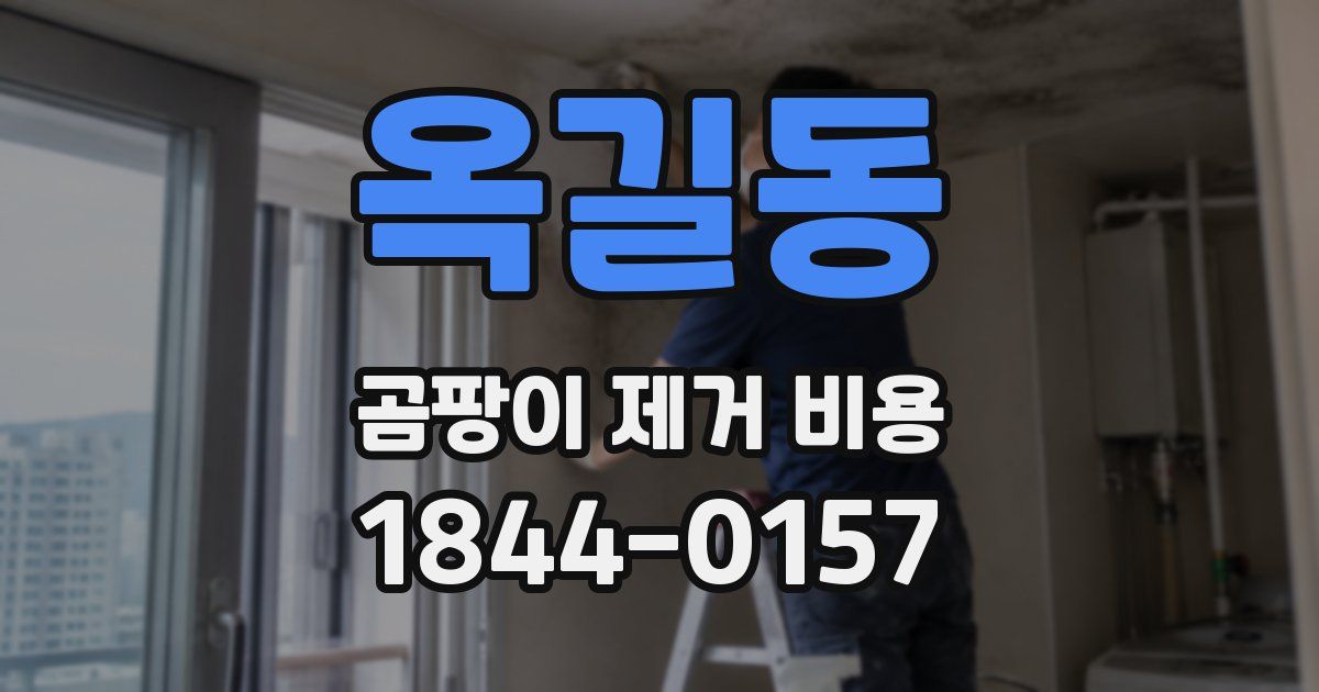 옥길동 곰팡이 제거 비용