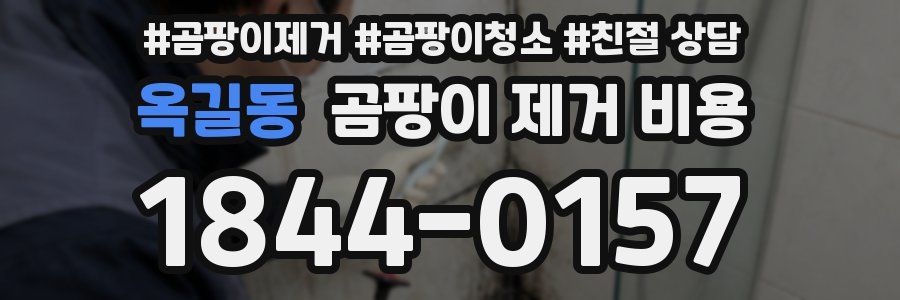 옥길동 곰팡이 제거 비용