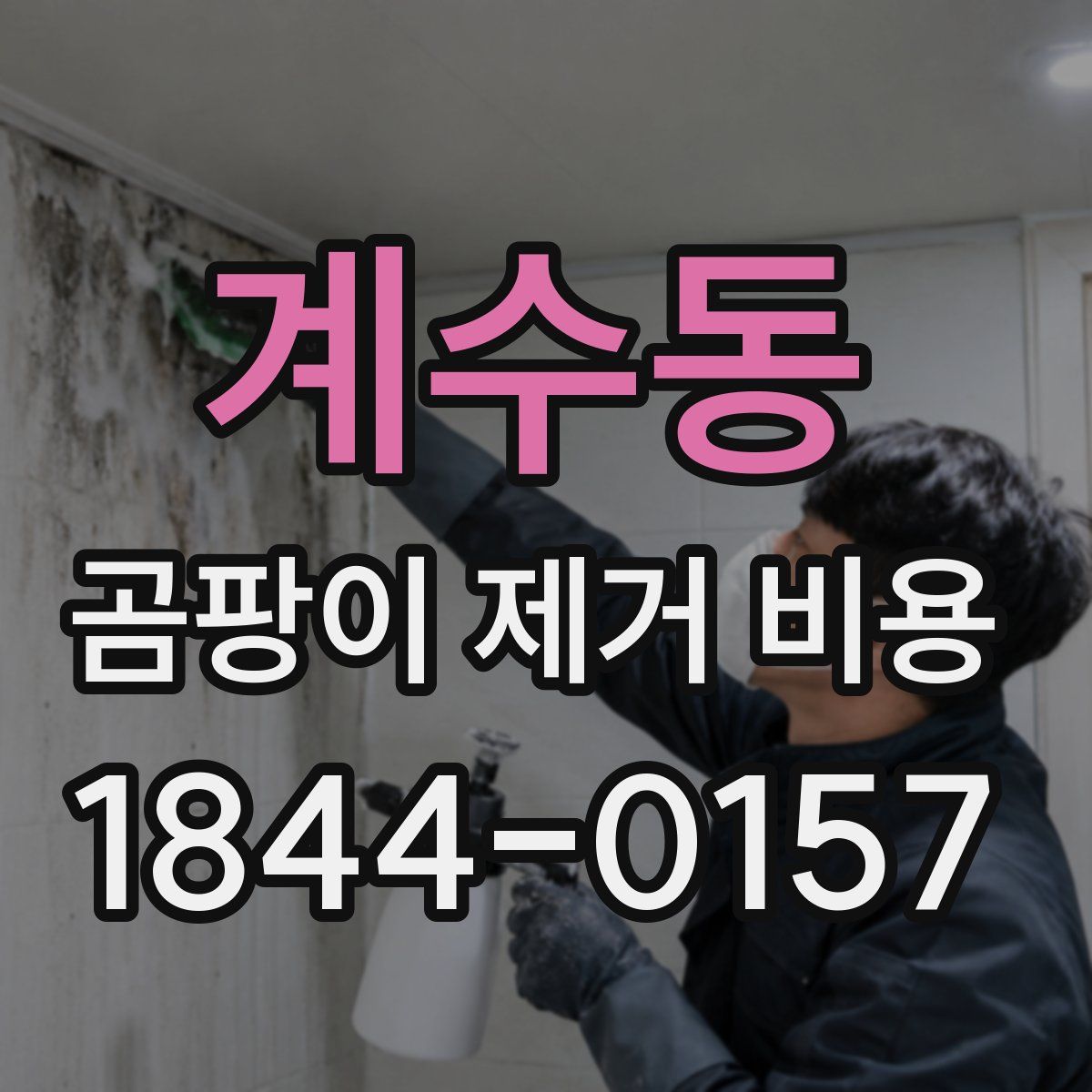 계수동 곰팡이 제거 비용