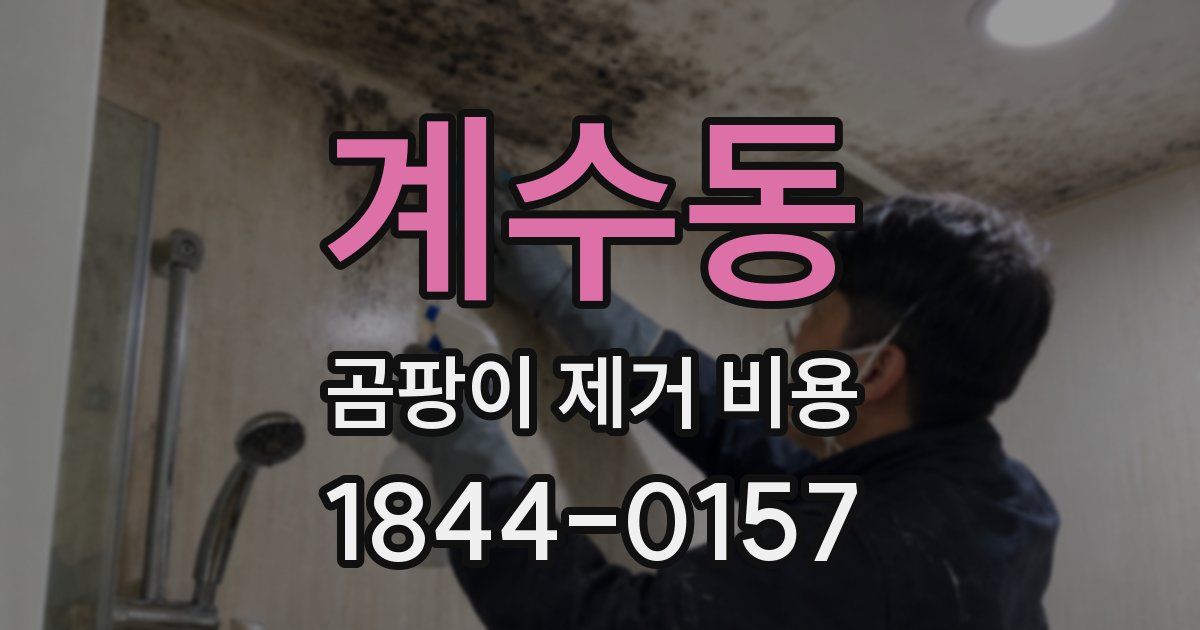계수동 곰팡이 제거 비용