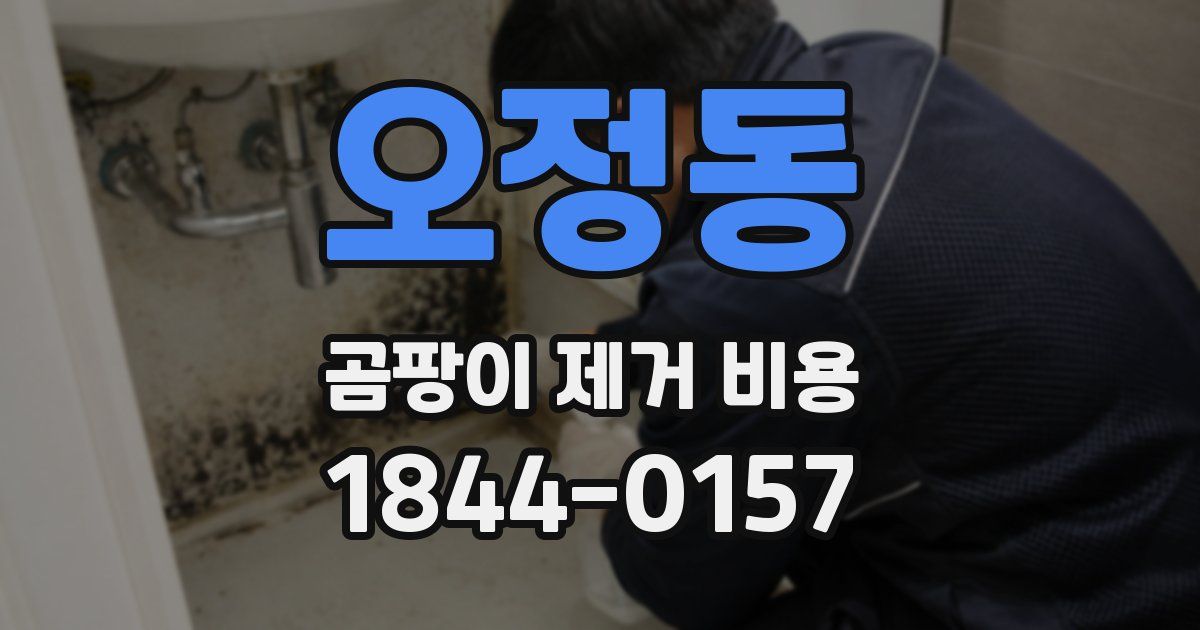 오정동 곰팡이 제거 비용