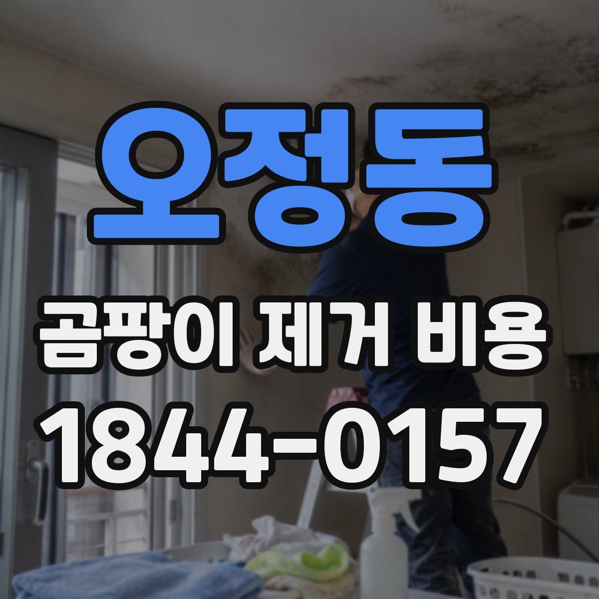 오정동 곰팡이 제거 비용