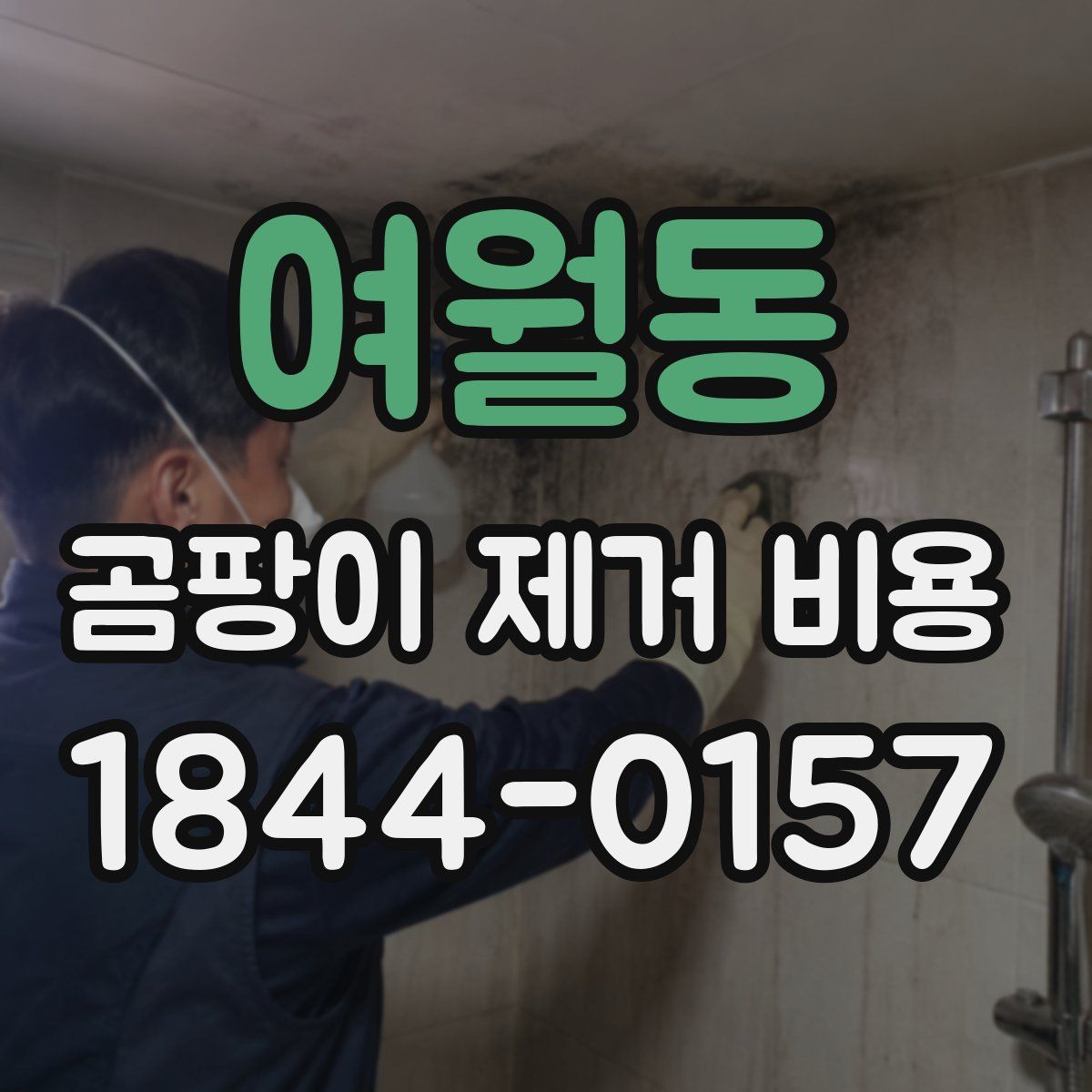 여월동 곰팡이 제거 비용