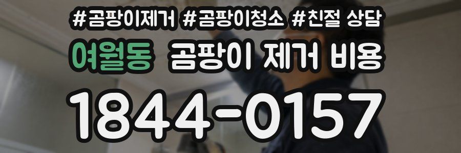 여월동 곰팡이 제거 비용