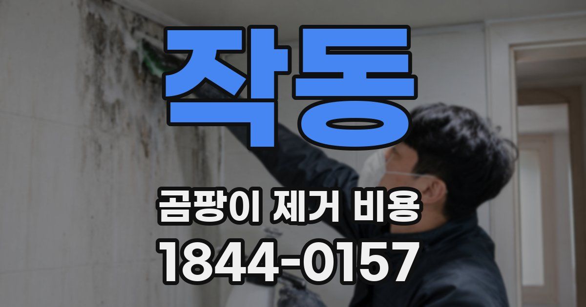 작동 곰팡이 제거 비용