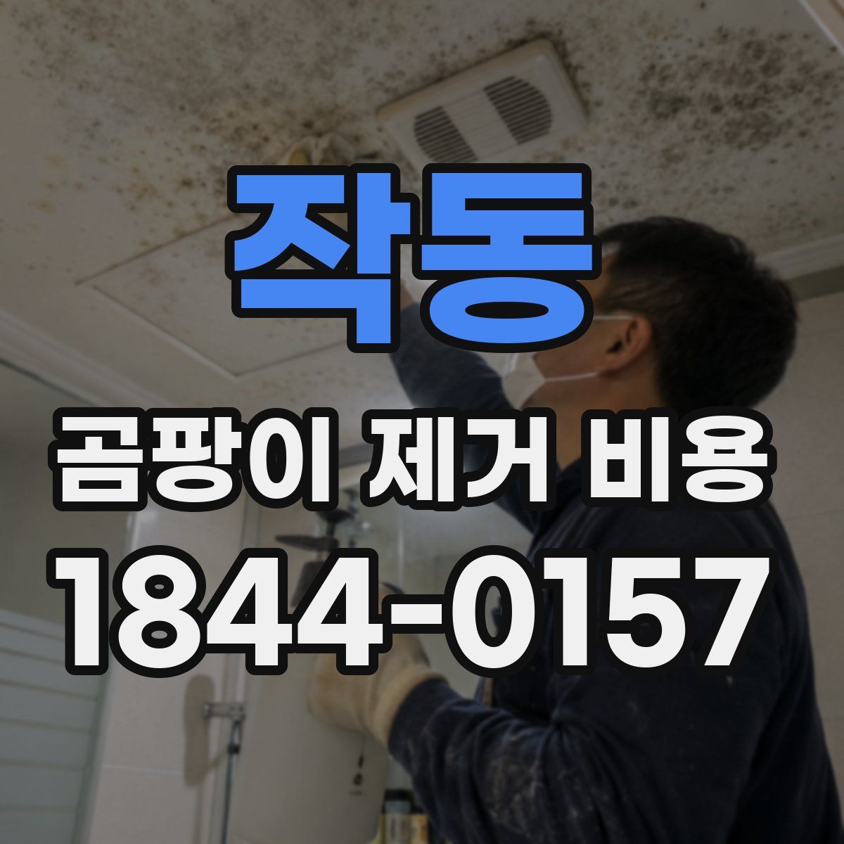 작동 곰팡이 제거 비용