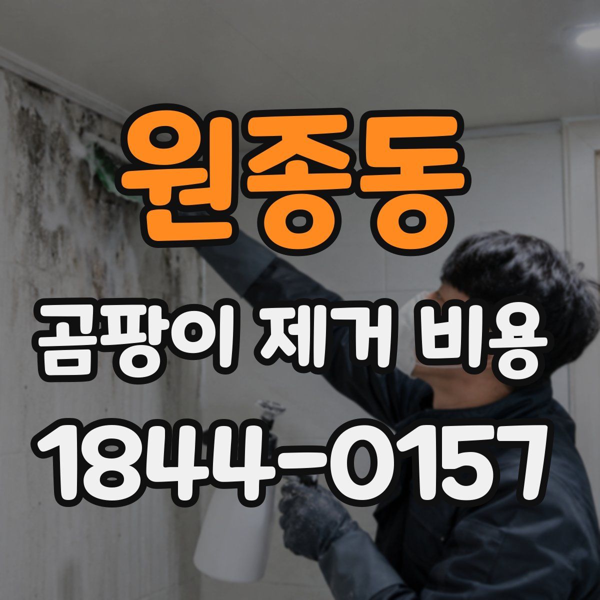 원종동 곰팡이 제거 비용