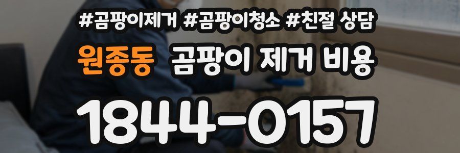 원종동 곰팡이 제거 비용