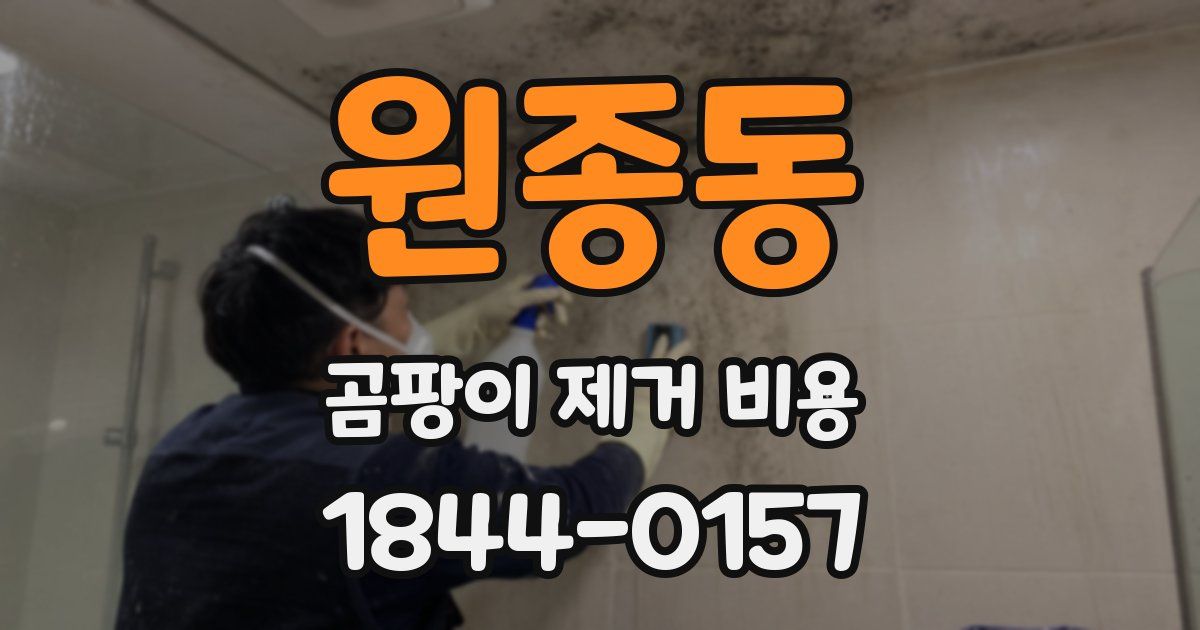 원종동 곰팡이 제거 비용