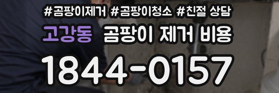 고강동 곰팡이 제거 비용