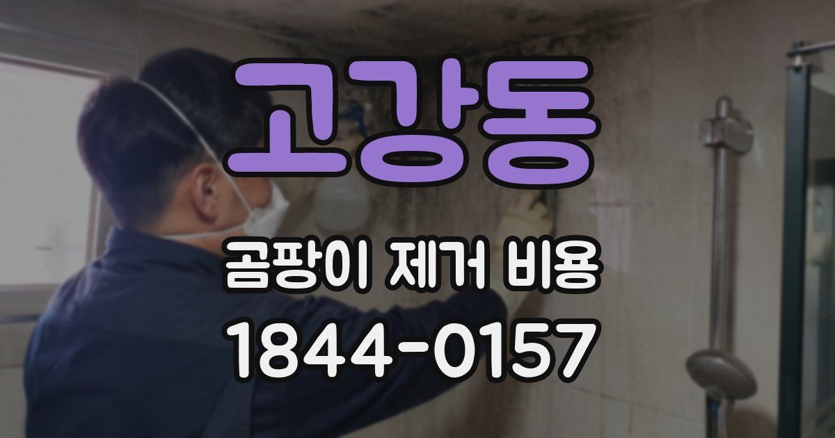 고강동 곰팡이 제거 비용
